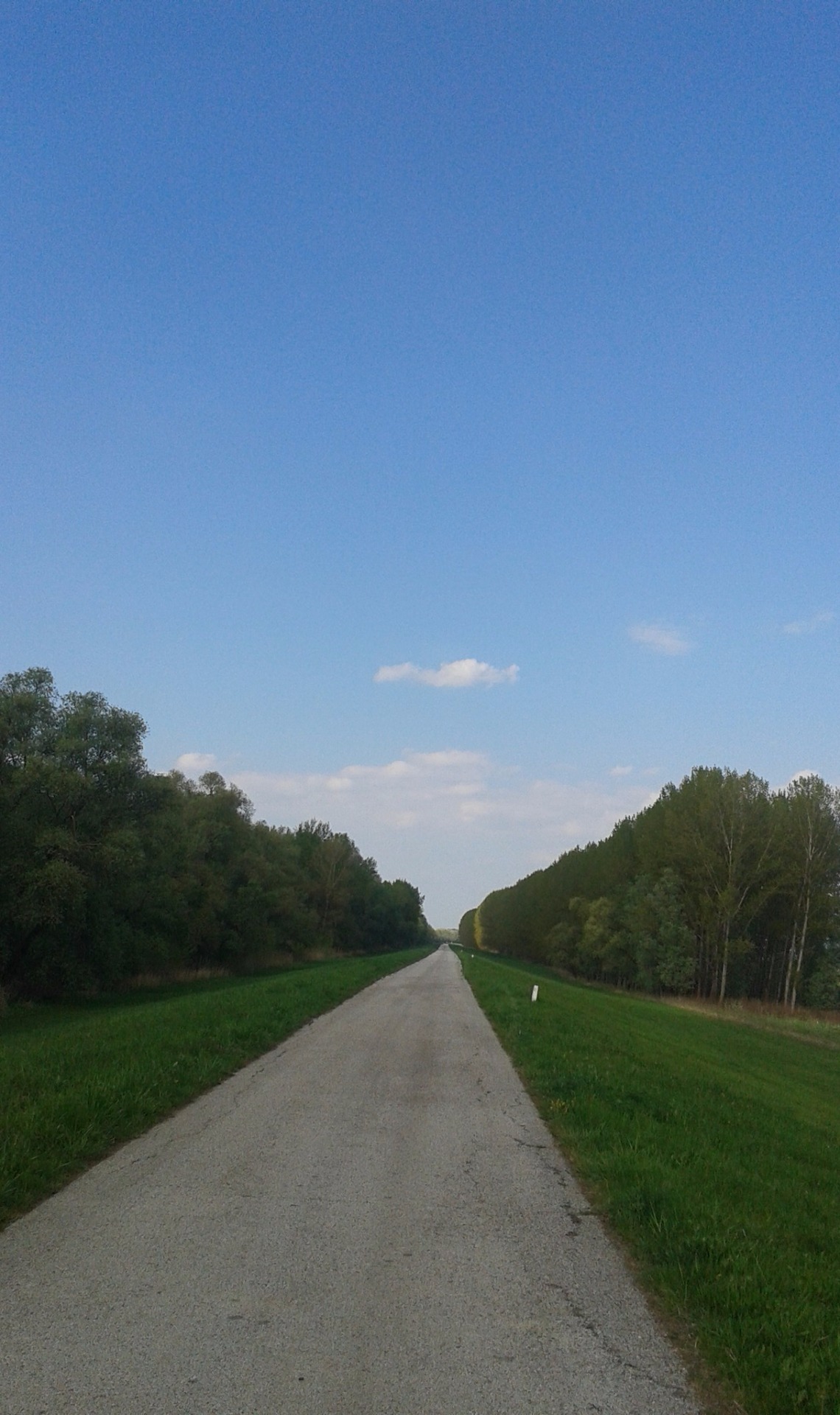 /saját fotó/ Tisza part/